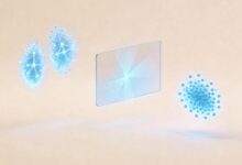 AI快速分析工具使用技巧-Raccoon