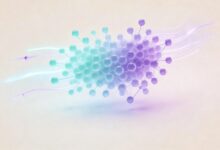 个性化计划生成的算法比较-Raccoon