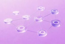 企业数智化的技术选型建议-Raccoon