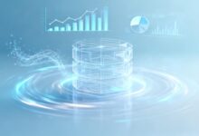 如何通过个性化分析优化企业决策？-Raccoon