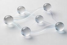 个人知识库的建设与管理最佳实践-Raccoon