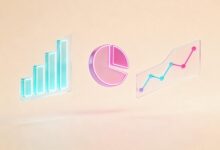 个性化方案生成平台哪家口碑好？-Raccoon