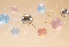 企业专属知识库的品牌建设与SEO策略？-Raccoon