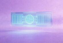 文档资产管理软件哪个最好？-Raccoon