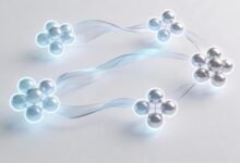 如何用AI做学习规划？学生党必备技巧-Raccoon