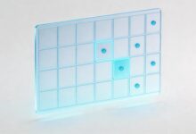 AI解生物生态题的推理逻辑解析-Raccoon