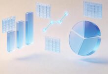 数据合成+大模型预测+AI解题的技术路线-Raccoon