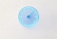 智能分析的可解释性：黑盒模型决策过程透明化方法-Raccoon