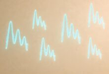 办公工具的免费版和付费版区别是什么?-Raccoon