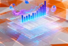 个性化写作在营销中的应用-Raccoon