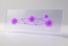 数据对比分析显著性检验：T检验、卡方检验应用场景-Raccoon