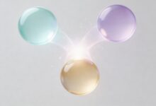 大模型数据预测在金融风控中的实际应用-Raccoon