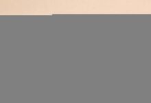 知识库和搜索引擎有什么区别？对比分析-Raccoon