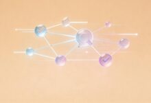 AI分析信息如何帮助企业制定精准营销策略？-Raccoon