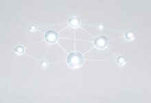 如何让大模型给出更精准的结论和建议?-Raccoon