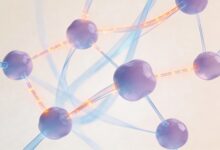 智能规划工具怎么用？新手入门到精通完整教程-Raccoon