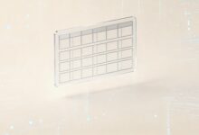 如何通过AI实现个性化写作的自动摘要与创作?-Raccoon