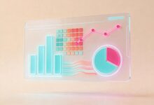 商务智能分析案例：零售企业实战-Raccoon