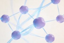 个性化方案生成平台的比较与推荐？-Raccoon