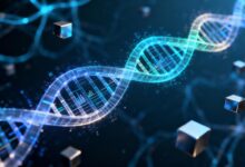 私密知识库和私有知识库的区别是什么？-Raccoon