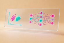 市场调研数据样本量多少才足够?-Raccoon