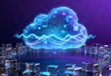 怎样制定符合用户需求的个性化计划？-Raccoon