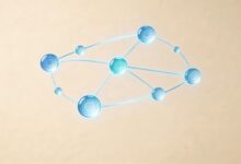 如何保证AI整合数据的安全性和准确性？-Raccoon