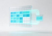 信息检索技巧大全-Raccoon