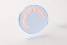 大模型分析信息如何帮助企业发现潜在商业机会?-Raccoon