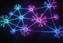 医生怎么用AI规划诊疗方案？临床决策辅助-Raccoon