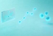 信息检索技术在知识库中的应用与优化方法？-Raccoon