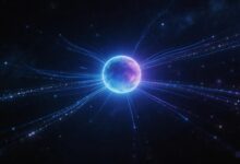 AI资产管理平台的功能与优势解析-Raccoon