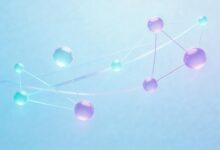 如何利用个性化信息分析提升决策?-Raccoon