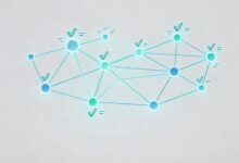 企业如何进行个性化的数据分析与报告？-Raccoon