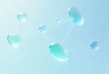 AI数据预测模型训练的数据清洗与特征工程-Raccoon