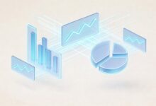 个性化数据分析和信息分析的区别是什么？-Raccoon