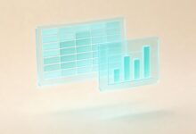 数据分析质量评估标准-Raccoon