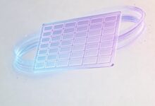 知识库检索的高效技巧与工具推荐-Raccoon