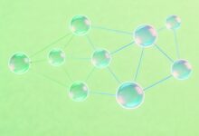 多模态数据合成如何辅助AI解题？-Raccoon