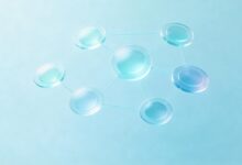 企业如何搭建AI知识库实现高效知识管理？-Raccoon