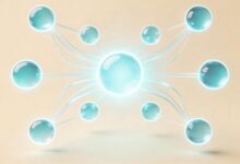 AI规划与个人知识库结合，打造专属智能任务管家-Raccoon