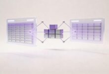 大模型分析信息助力数字化转型-Raccoon