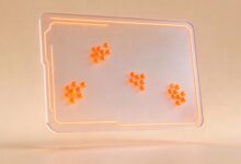 AI解地理题地图分析功能如何实现？技术解析-Raccoon