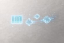 如何在个人知识库中进行分类管理？-Raccoon