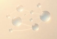 高可用性知识库架构的搭建要点有哪些？-Raccoon