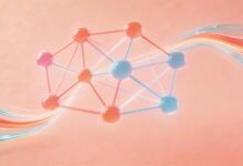 个性化写作在内容营销中的价值与实现方法-Raccoon