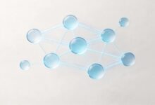 企业数智化过程中的风险管理有哪些？-Raccoon