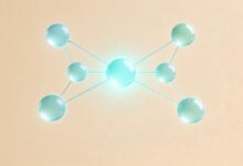 个性化方案生成的典型案例分享？-Raccoon