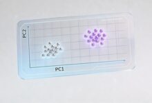 数据分析智能化转型路径，传统企业AI数据分析升级方案-Raccoon