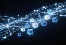 个性化方案生成器哪个好？10款AI工具对比-Raccoon